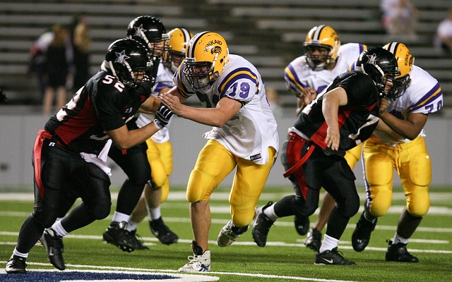 他的戰術理 他的戰術理