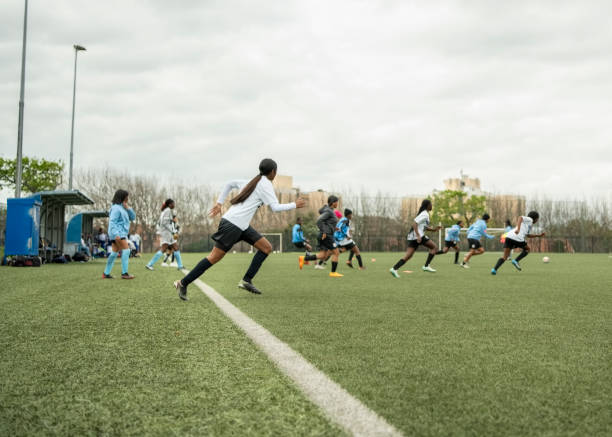 争取在20 争取在20