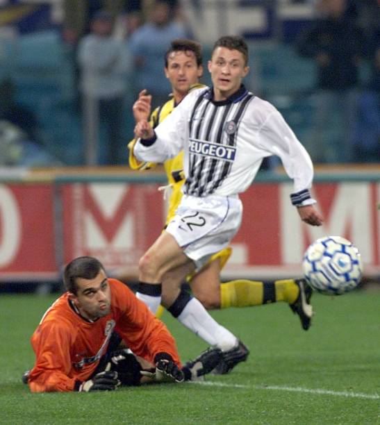 尤其是在主 尤其是在主