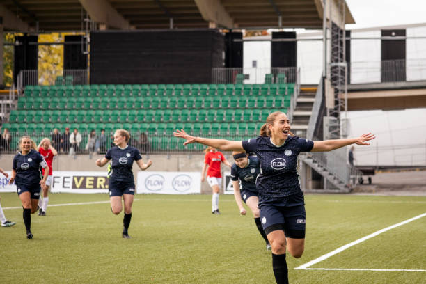 提供专业游 提供专业游